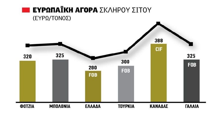 Η τελευταία διόρθωση τιμών στο σκληρό σιτάρι και οι πρώτες προσεγγίσεις για το άνοιγμα στα αλώνια