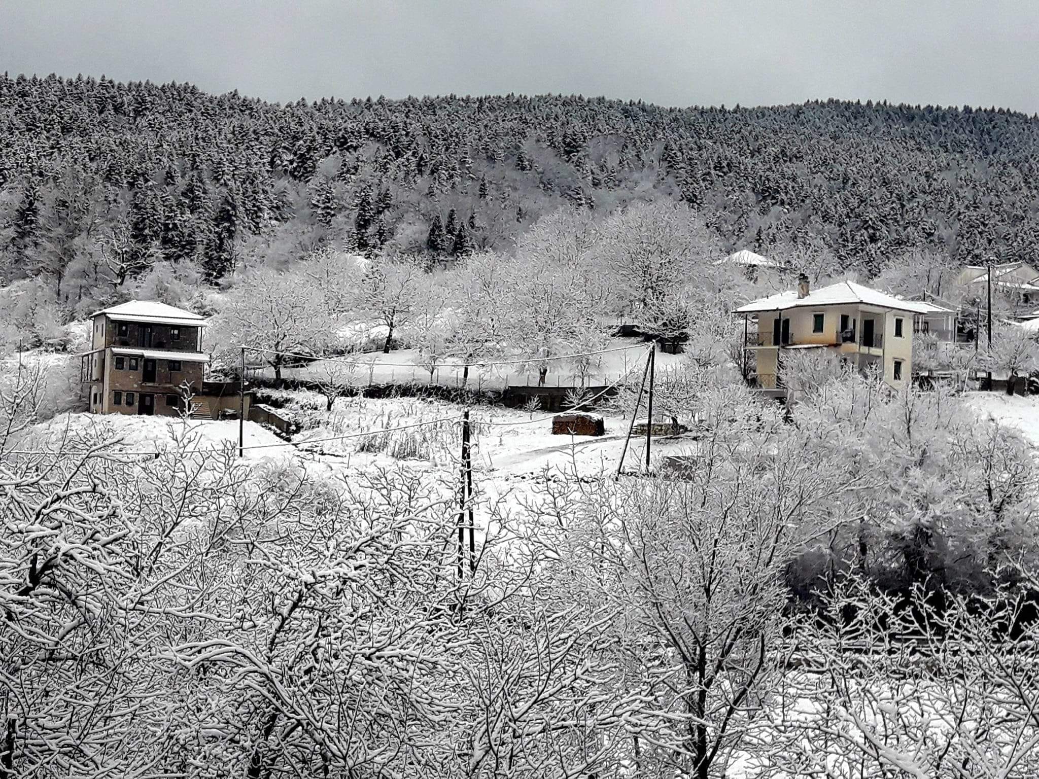 Στα λευκά ντύθηκε η λίμνη Πλαστήρα- το πρώτο χιόνι στο πανέμορφο Νεοχώρι