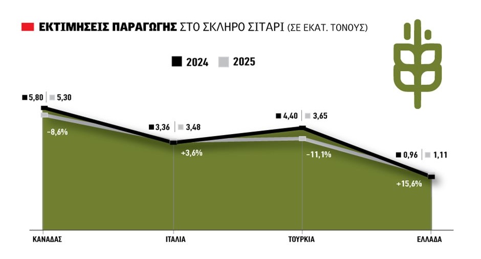 Λειψή σοδειά σκληρού σε Τουρκία-Καναδά, αύξηση έως 15% στην Ελλάδα