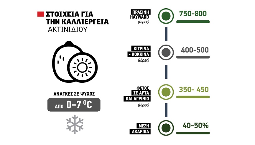Μεγάλο έλλειμμα σε κεράσια και βερίκοκα, μερική ακαρπία 50% για τα πράσινα ακτινίδια