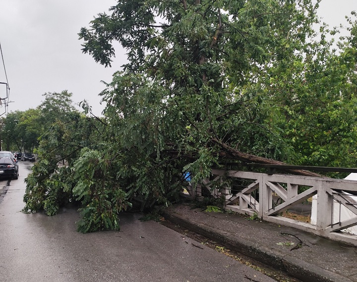 Βομβαρδισμένη πόλη η Λάρισα από το μπουρίνι: Φωτιά στην Καρδίτσης από κεραυνό, σπάσιμο δέντρων και ξήλωμα στεγών (ΦΩΤΟ)