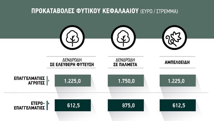 Με 30 εκατ. ευρώ το πρόγραμμα φυτικού κεφαλαίου για Ντάνιελ και υποχρέωση για την ανασύσταση δενδρώνα