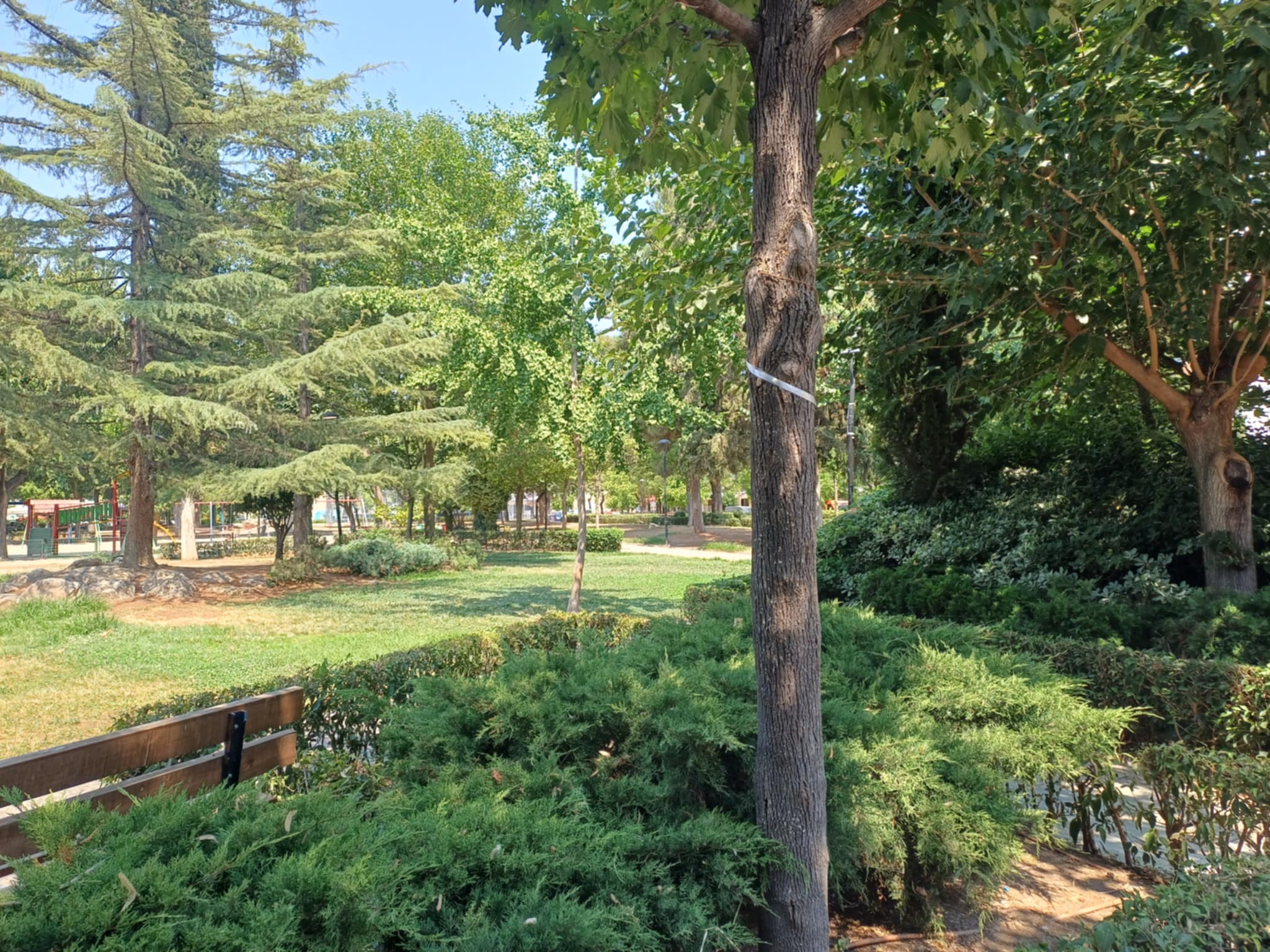 Λάρισα: Αγανάκτηση και οργή από τις μαζικές δηλητηριάσεις ζώων στον Άγιο Αντώνιο (ΦΩΤΟ-ΒΙΝΤΕΟ)