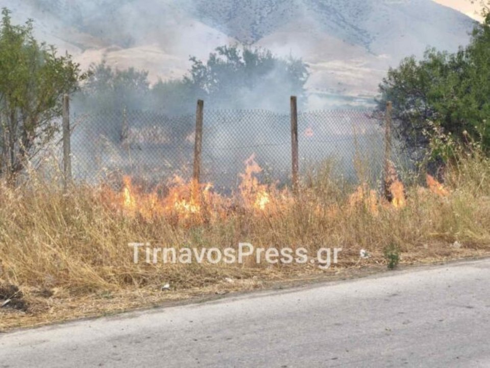 Φωτιά κοντά σε σπίτια στον Τύρναβο -Η Πυροσβεστική την έθεσε άμεσε υπό έλεγχο [βίντεο]