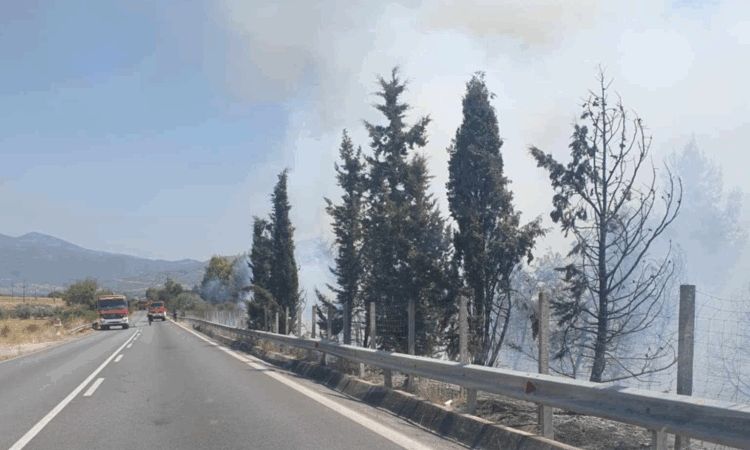 Μεγάλη κινητοποίηση της Πυροσβεστικής για φωτιά στην Εθνική οδό στο ύψος της Γυρτώνης