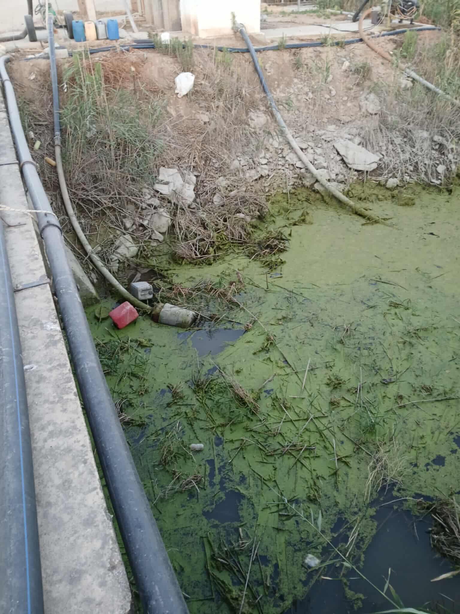 Κίνδυνος να «καούν» δεκάδες χιλιάδες στρέμματα βαμβακιού, βιομηχ. ντομάτας στη Θεσσαλία- στέγνωσε ο Πηνειός (ΦΩΤΟ)