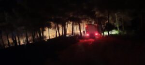 Συναγερμός για φωτιά ξέσπασε στο λόφο του ξενώνα της Μητρόπολης Καρδίτσας (φωτο)