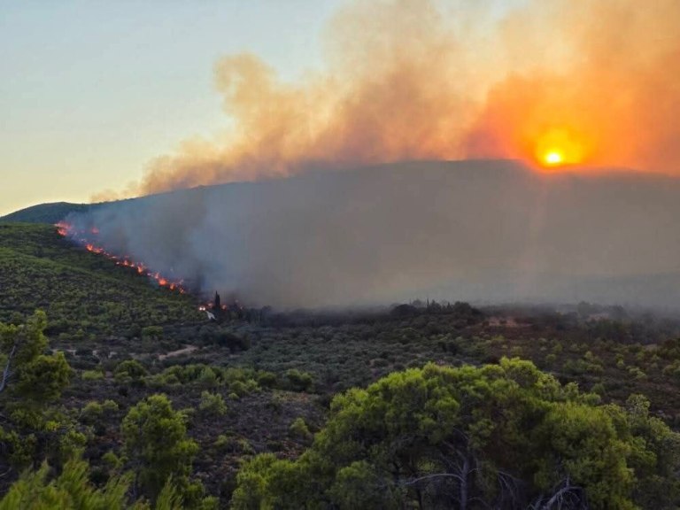 Ανεξέλεγκτη η φωτιά στη Ζάκυνθο, πύρινα μέτωπα σε Αρτα, Πρέβεζα, Κεφαλονιά, Φωκίδα και Βόνιτσα - Μπαράζ μηνυμάτων από το 112