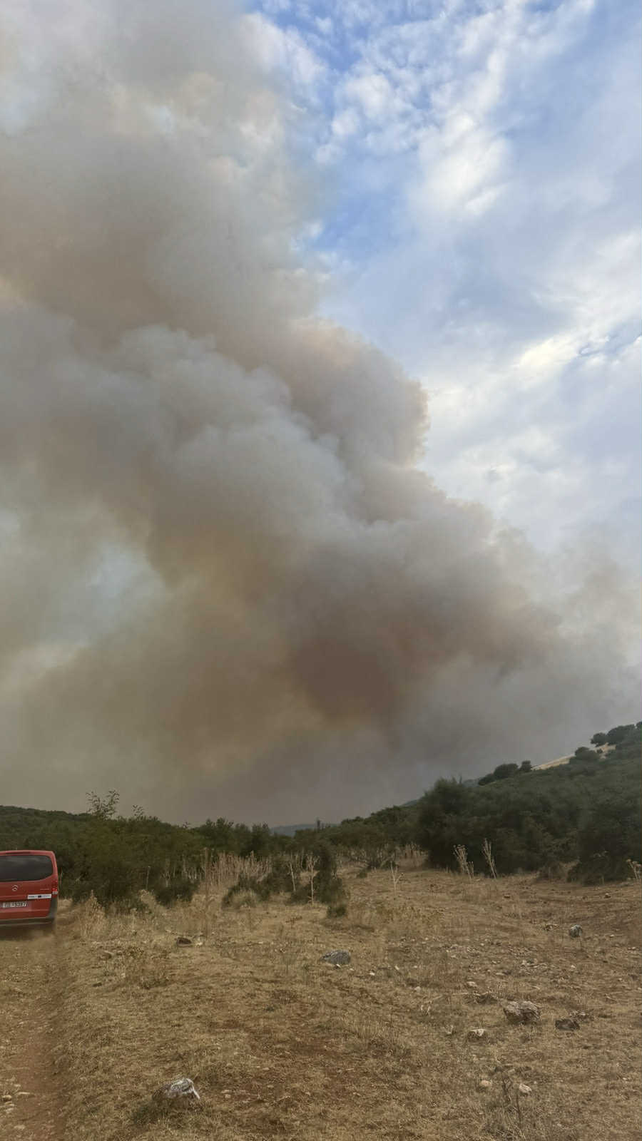 Καίει όλη νύχτα η πυρκαγιά που ξέσπασε το απόγευμα στο Δαμάσι (ΦΩΤΟ+video)