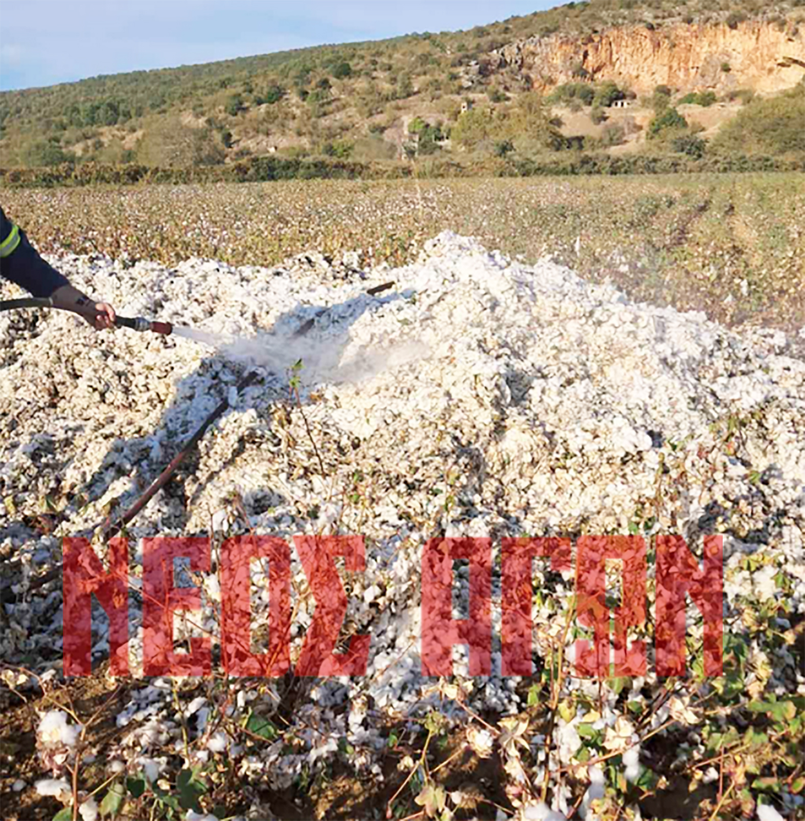 Ρούσσο: Φωτιά σε βαμβάκι κατά τη συγκομιδή, έσπευσε η πυροσβεστική (ΦΩΤΟ)