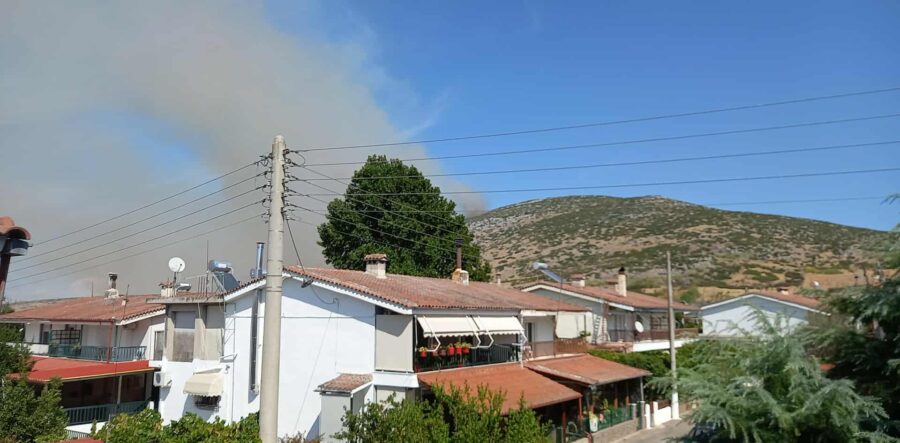 Σε εξέλιξη η φωτιά στο όρος Σούρλα στα Φάρσαλα- επιχειρούν και εναέρια μέσα