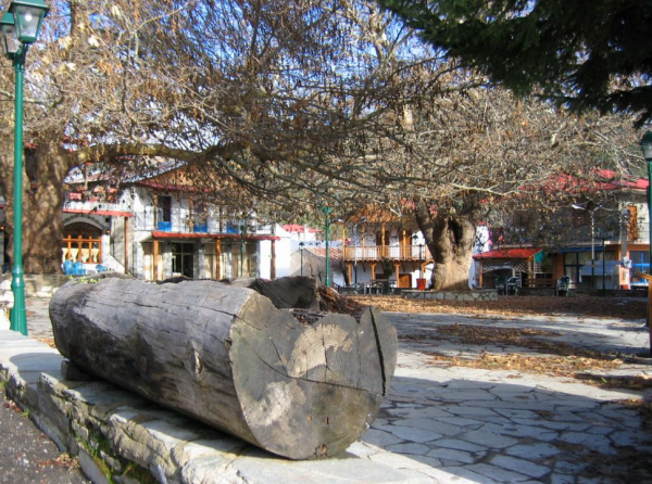 Η Αβδέλλα Γρεβενών ξαναζεί- Μόνιμοι κάτοικοι και επισκέπτες δεν την αφήνουν να «σβήσει»