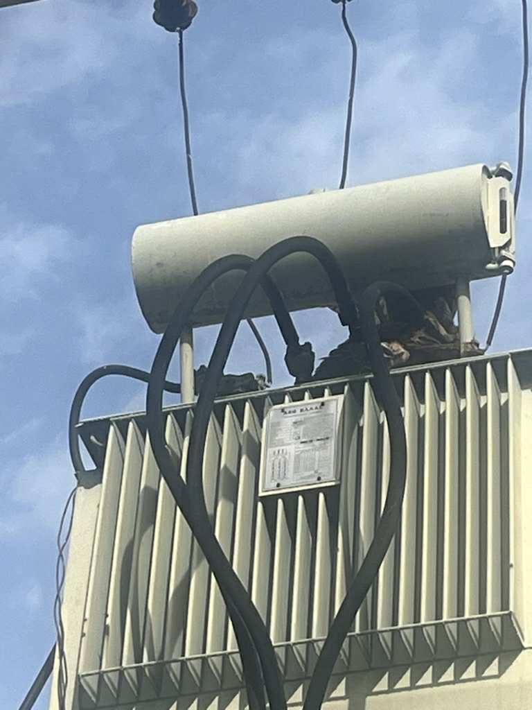 Πρόβλημα με την ύδρευση σε περιοχές του Παλαμά εξαιτίας ενός Μπούφου!