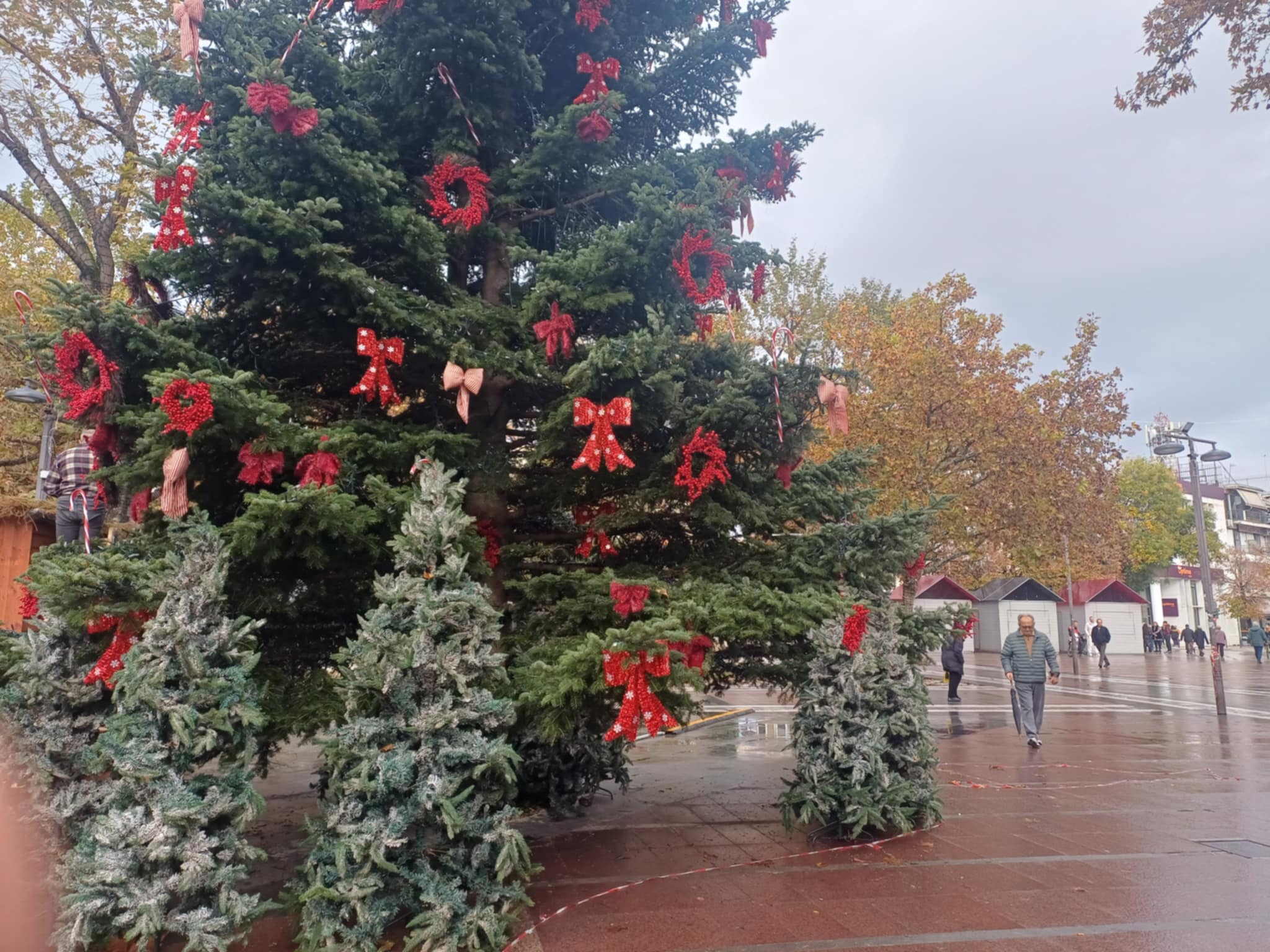 Ετοιμασίες στην κεντρική πλατεία της Λάρισας  για το άναμμα του δένδρου την Δευτέρα 1η Δεκεμβρίου (ΦΩΤΟ)