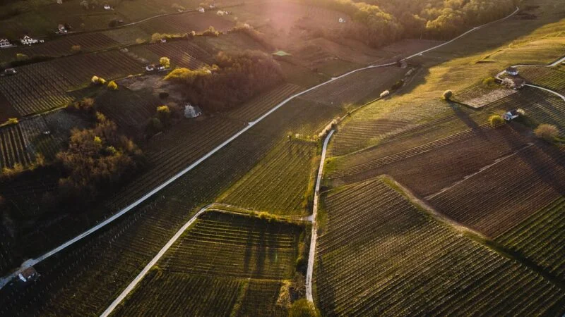 Άνοιξε το σύστημα για διορθώσεις στην ΕΑΕ 2025 λόγω monitoring