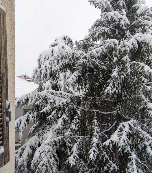 Βλέπει χιόνια ακόμη και στα πεδινά της Θεσσαλίας από 28 Δεκέμβρη ο Φάνης Τακούδης