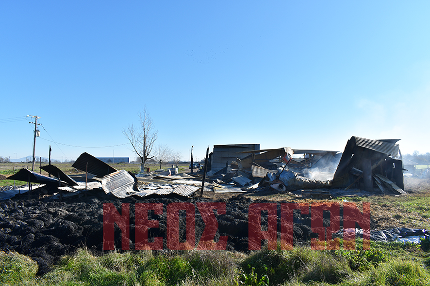 Στάχτη οι κόποι μιας ζωής για κτηνοτρόφο από τους Γοργοβίτες (ΦΩΤΟ - ΒΙΝΤΕΟ)