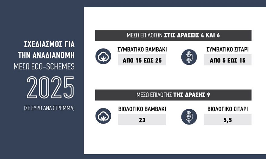 Επιπλέον 25 ευρώ για το βαμβάκι, 15 ευρώ στο σιτάρι ως στρεμματική ενίσχυση για το 2025 μέσω των eco-schemes
