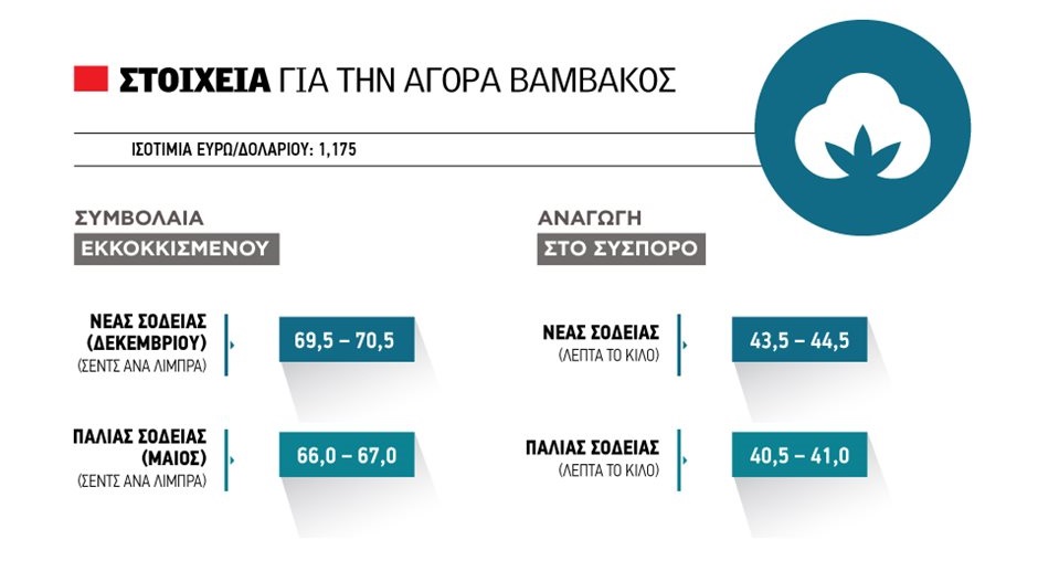 Ανοδικά το βαμβάκι μετά το πάρε-δώσε με τους δασμούς Τραμπ, 44 λεπτά το σύσπορο ενόψει προπωλήσεων