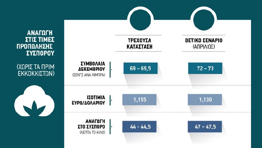 Ωριμάζουν οι συνθήκες για ράλι στο βαμβάκι, ακριβαίνει καθημερινά η συνθετική ίνα