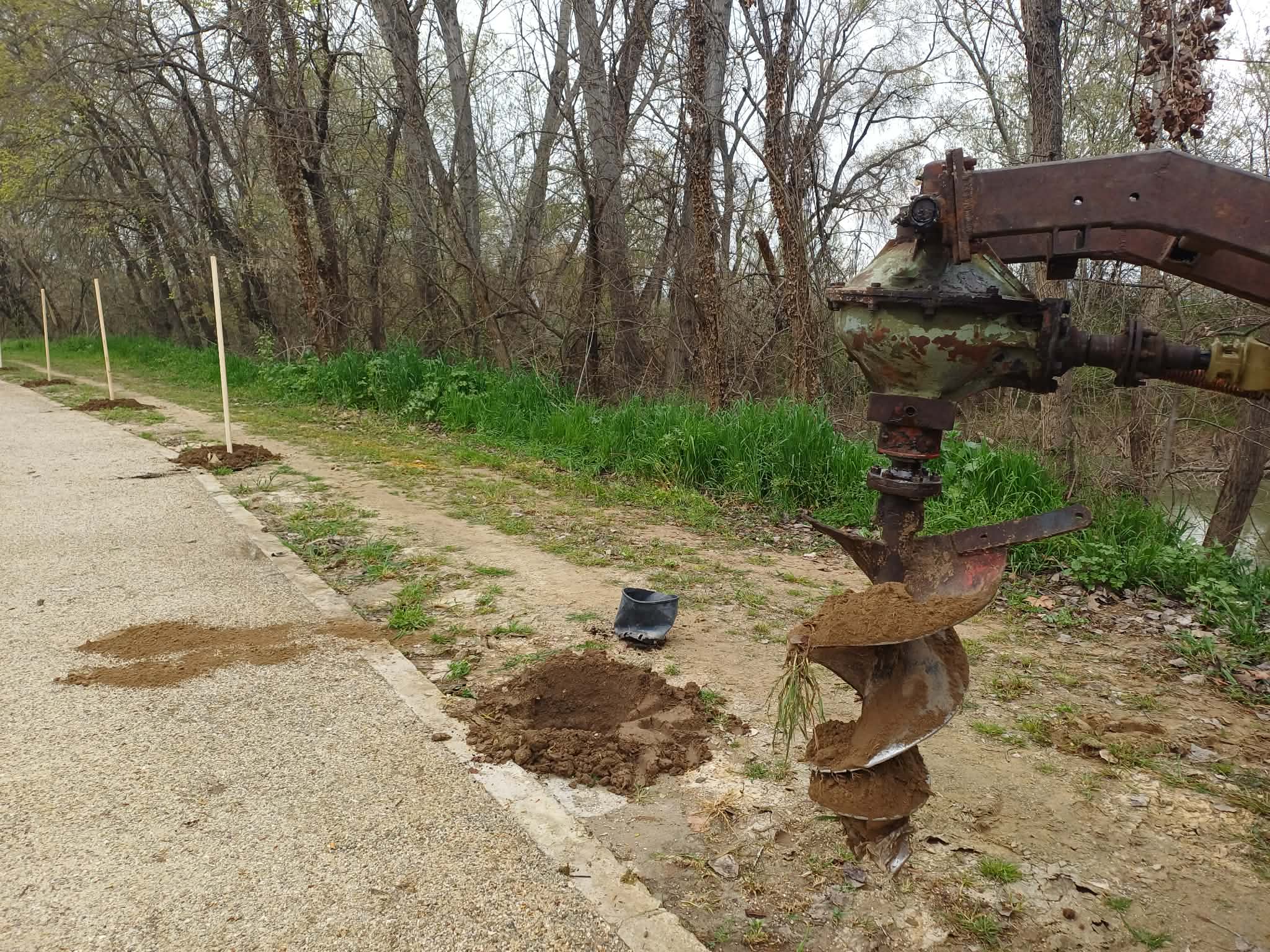 Ο Δήμος Λαρισαίων φυτεύει 700 δέντρα στην κοίτη του Πηνειού (ΦΩΤΟ)