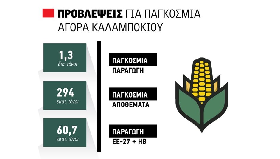 Μέχρι και 20% παραπάνω σε εκτάσεις το καλαμπόκι στη Θεσσαλία, από 20 λεπτά τα συμβόλαια