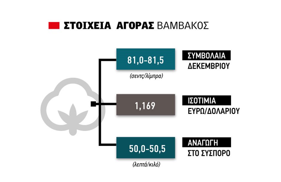 Ανοδικά το βαμβάκι μετά τη διόρθωση, 50 λεπτά η αναγωγή στο σύσπορο