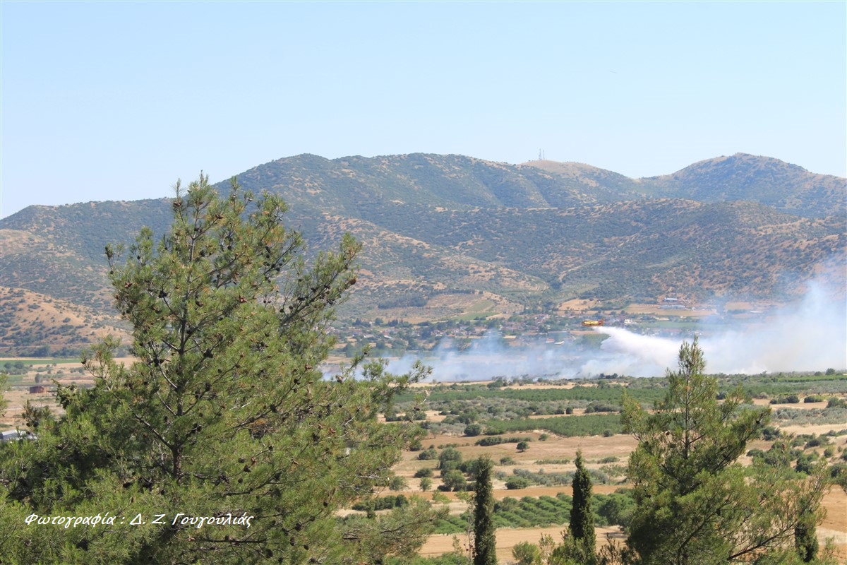 Μεγάλη φωτιά στην περιοχή των Γόννων-Μεγάλη επιχείρηση της Πυροσβεστικής, συνδράμουν δύο αεροσκάφη (ΦωTO)