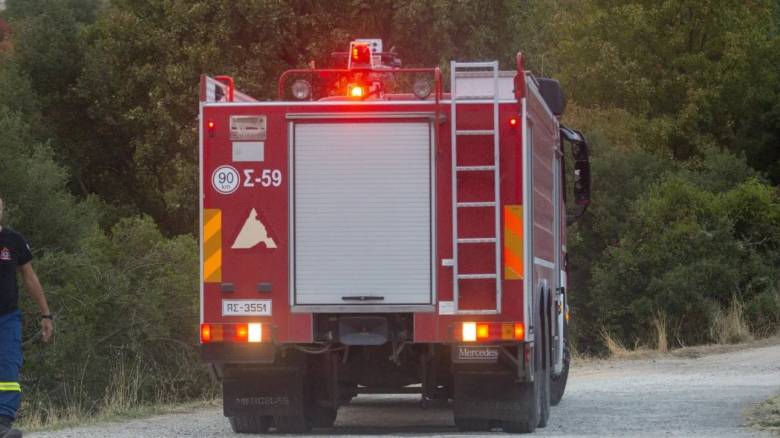 Μεγάλη κινητοποίηση επίγειων και εναέριων δυνάμεων για φωτιά σε αγροτοδασική έκταση στην Καλλιθέα Φαρσάλων
