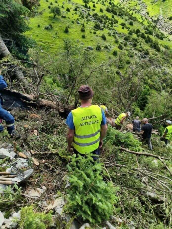 Άμεση κατάσβεση πυρκαγιάς στα Κουμπουριανά Ανατ. Αργιθέας που προκλήθηκε από κεραυνό
