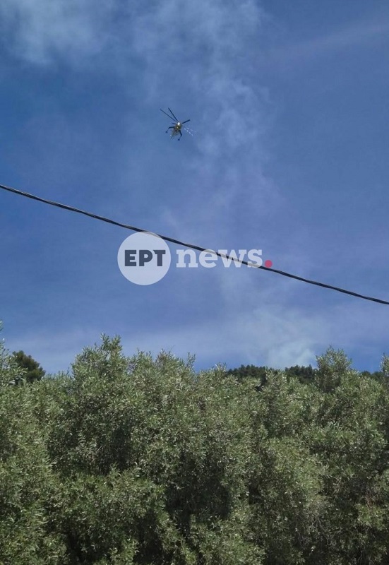 Σκόπελος: Οριοθετήθηκε η φωτιά στη θέση «Τριμπίλα» – Παραμένουν ισχυρές δυνάμεις της Πυροσβεστικής