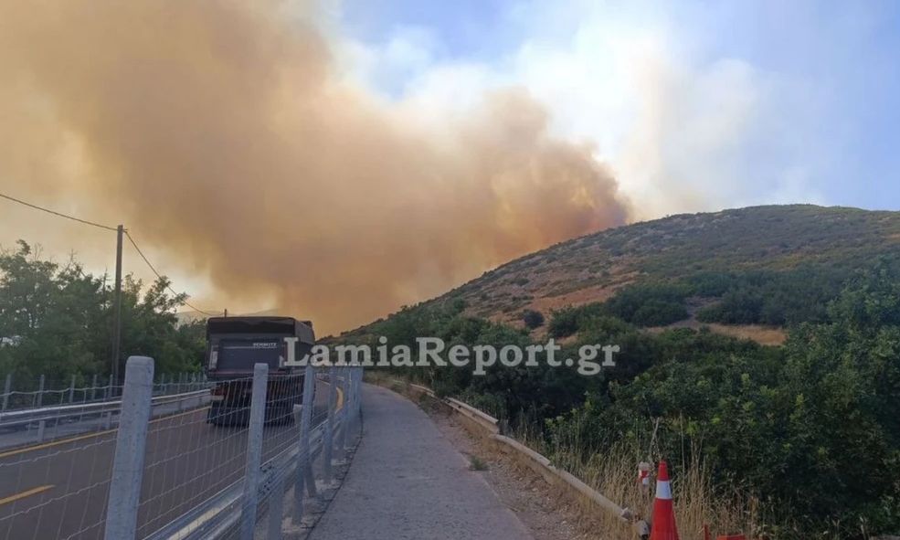 Έκλεισε η Αθηνών - Λαμίας λόγω της φωτιάς στο Ακραίφνιο Βοιωτίας: Επιχειρούν 118 πυροσβέστες και 16 εναέρια