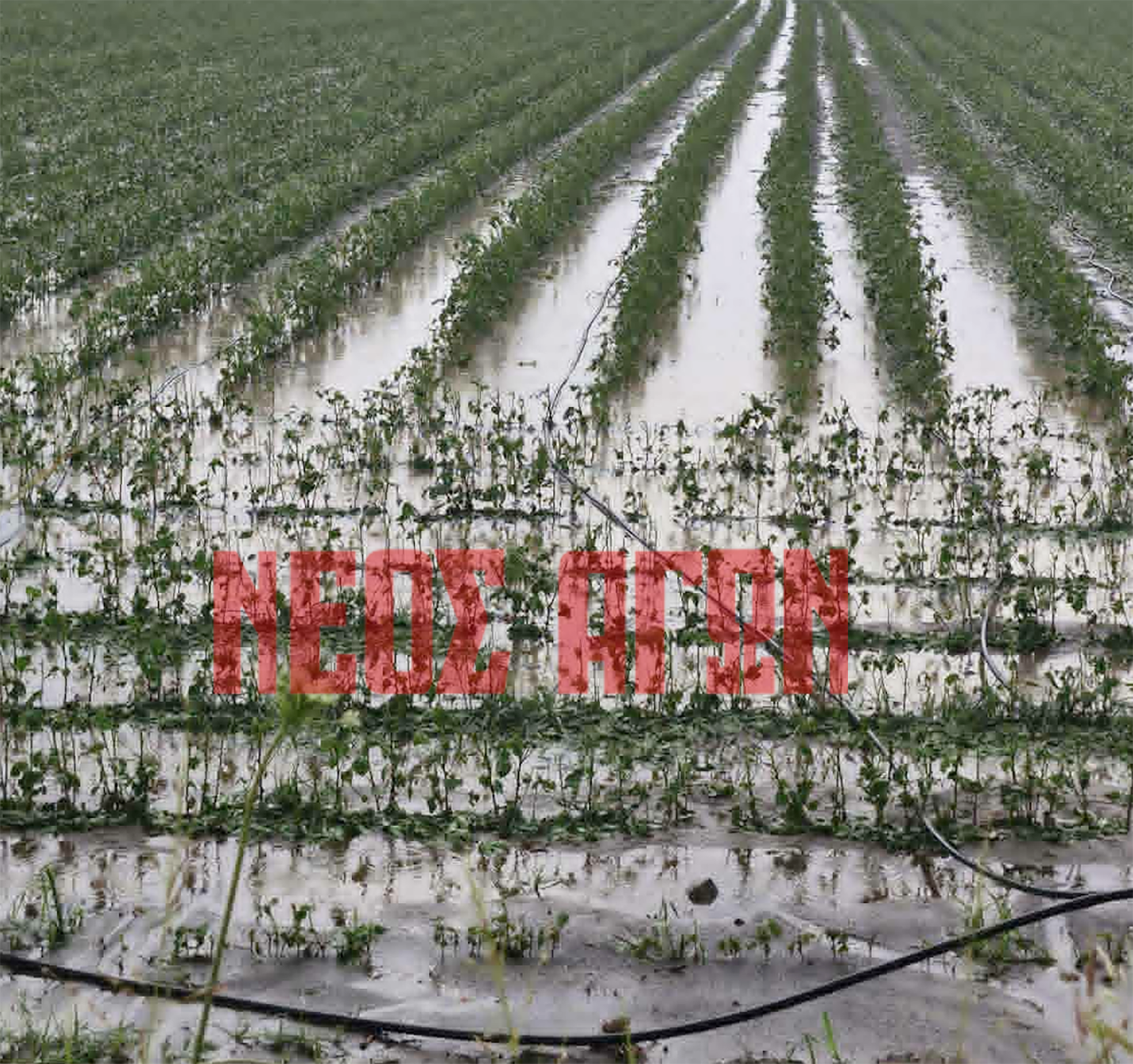 Mπουρίνι με ισχυρούς ανέμους και χαλαζόπτωση προκάλεσε προβλήματα και ζημιές στο Δήμο Παλαμά (ΦΩΤΟ)