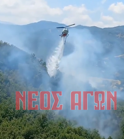 Μεγάλη φωτιά στο Μουζάκι Καρδίτσας – Ρίψεις νερού από 3 αεροπλάνα και 2 ελικόπτερα