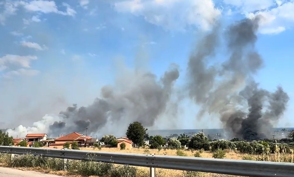 Φωτιά σε δασική έκταση στην Νέα Καλλικράτεια Χαλκιδικής - Μήνυμα από το 112 για εκκένωση δύο οικισμών