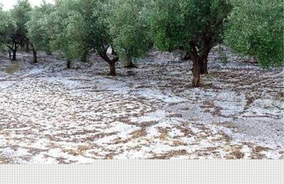 Μπουρίνι στη Λάρισα και ισχυρή χαλαζόπτωση σε ΠΛατανούλια, Δαμάσι λίγο πριν τη συγκομιδή- σε απόγνωση οι αγρότες