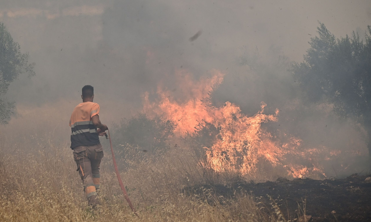 Δύο συλλήψεις για τη μεγάλη πυρκαγιά στη Βοιωτία που επεκτάθηκε στην Αττική