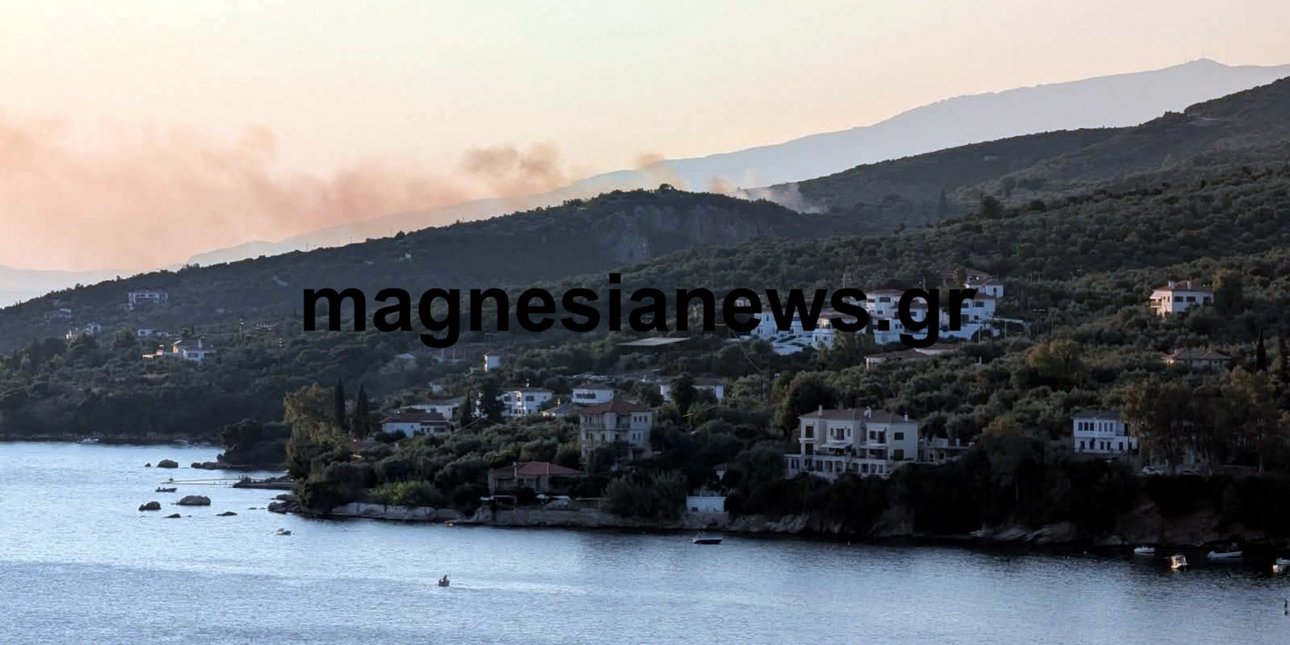 Φωτιά σε αγροτοδασική έκταση στο Πάου στο Πήλιο -Μεγάλη κινητοποίηση της Πυροσβεστικής, εστάλη 112 για ετοιμότητα