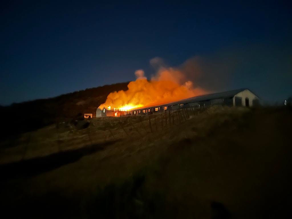Λάρισα: Φωτιά σε ποιμνιοστάσιο στο Λουτρό - Κάηκαν 70 ζώα