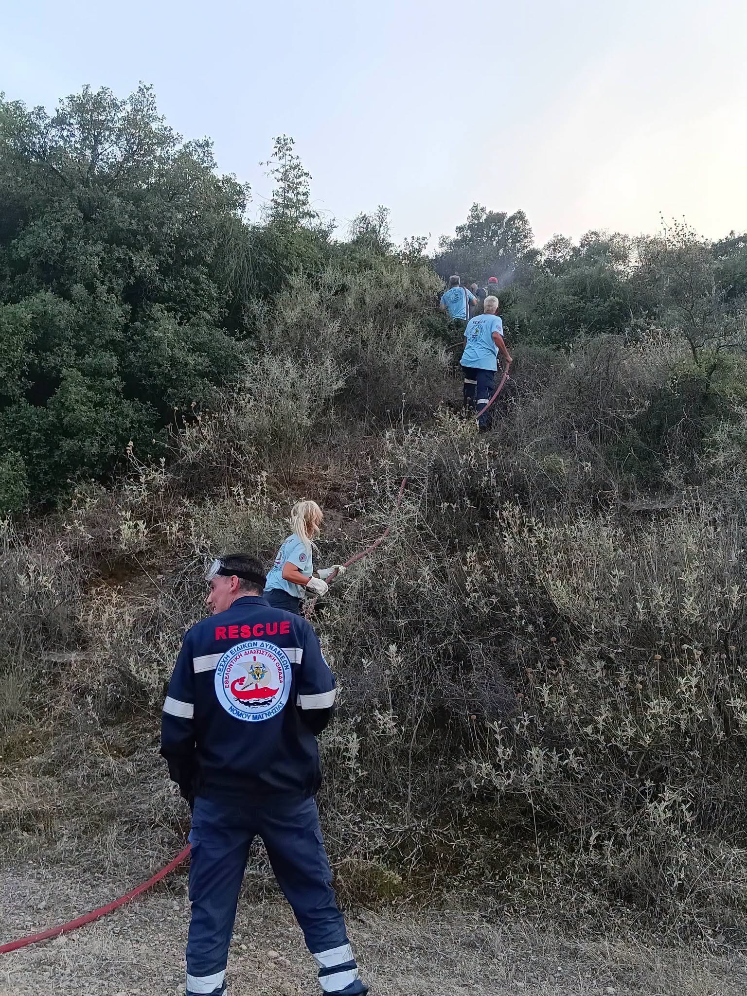 Υπό έλεγχο τα πύρινα μέτωπα στον Βόλο – Εξετάζεται το ενδεχόμενο εμπρησμού (ΦΩΤΟ+video)
