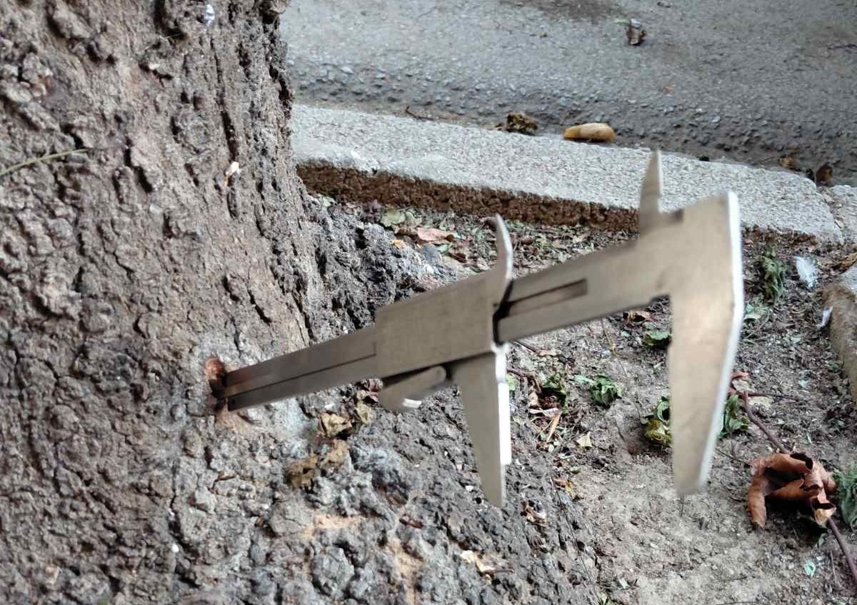 Κατέστρεψαν, με τρυπάνι, δέντρα στην οδό Τσιμισκή - Για απαράδεκτη εγκληματική ενέργεια κάνει λόγο η Δημοτική Αρχή