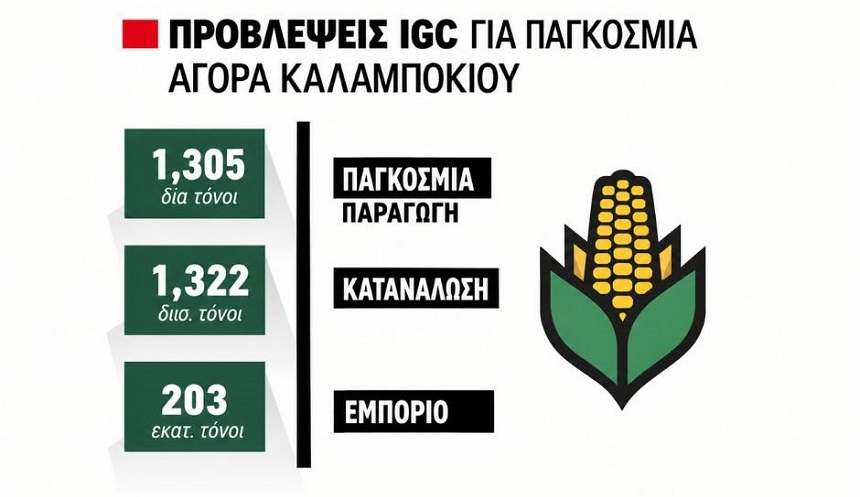 Ο καύσωνας δίνει τιμή στο καλαμπόκι, στα 23 λεπτά ακούγονται οι πρώτες συζητήσεις, τα 26 λεπτά είναι ορατά μέσα στο Φθινόπωρο