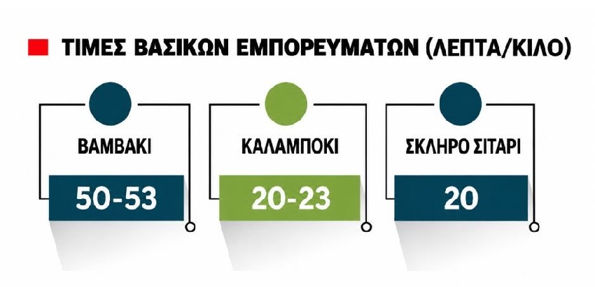 Ισχυρό σήμα ανόδου σε βαμβάκι, καλαμπόκι και σιτάρι, νέα επενδυτικά εργαλεία «ξυπνούν» τις αγροτικές επιχειρήσεις