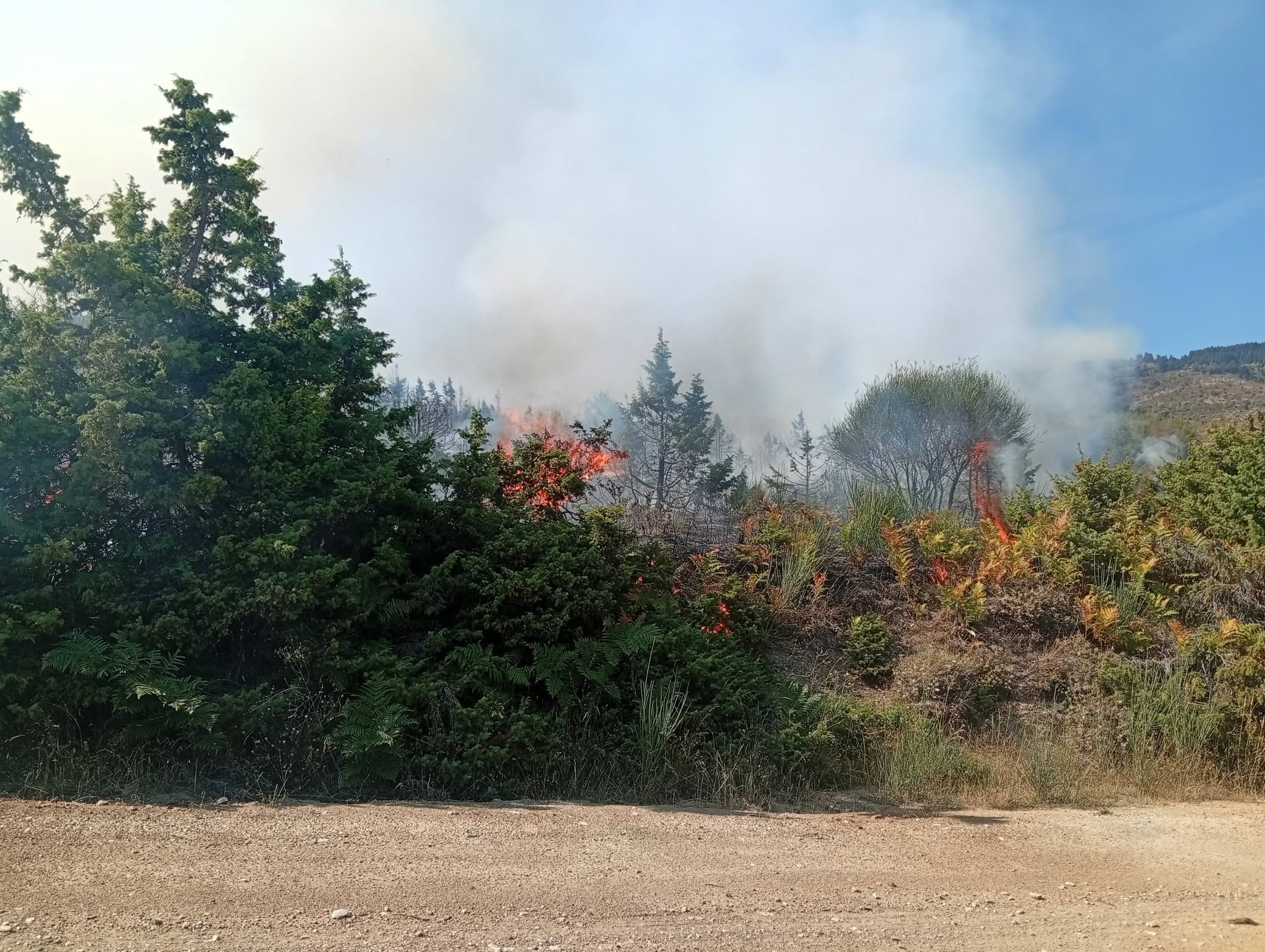 Μεγάλη κινητοποίηση για πυρκαγιά σε αγροτοδασική έκταση στην Ανατολή Αγιάς - συνδράμουν 5 εναέρια (ΦΩΤΟ)