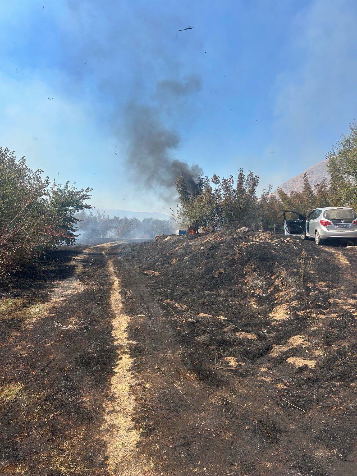 Καρδίτσα: Φωτιά στο Τιτάνιο όρος στη Μεταμόρφωση- Σηκώθηκαν 5 εναέρια μέσα (ΦΩΤΟ)