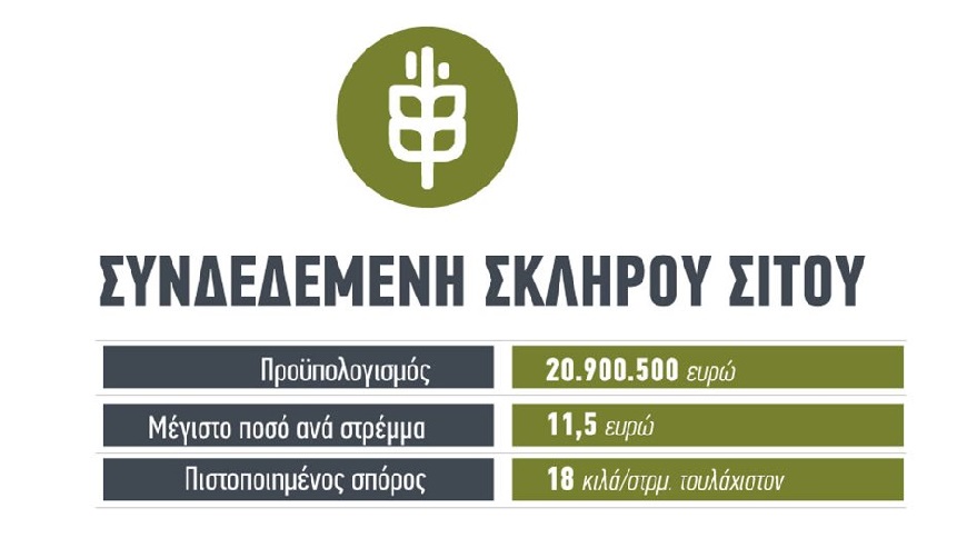 Συνδεδεμένη στα 11,5 ευρώ το στρέμμα και χωρίς επανέλεγχο στο σκληρό σιτάρι μετά την αύξηση κατά 30% στο διαθέσιμο κονδύλι