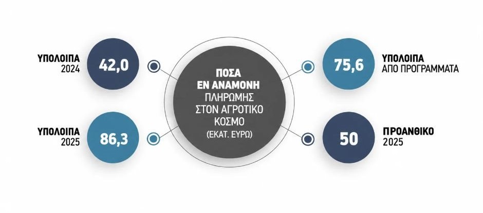 Με κρατικά χρήματα τα υπόλοιπα του 2024 ύψους 42 εκατ. ευρώ, μεταφέρεται για τον Δεκέμβριο η πληρωμή