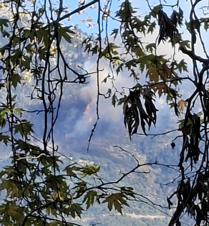 Φωτιά σε δάσος στο Καταφύλλι Καρδίτσας, επιχειρεί και ελικόπτερο