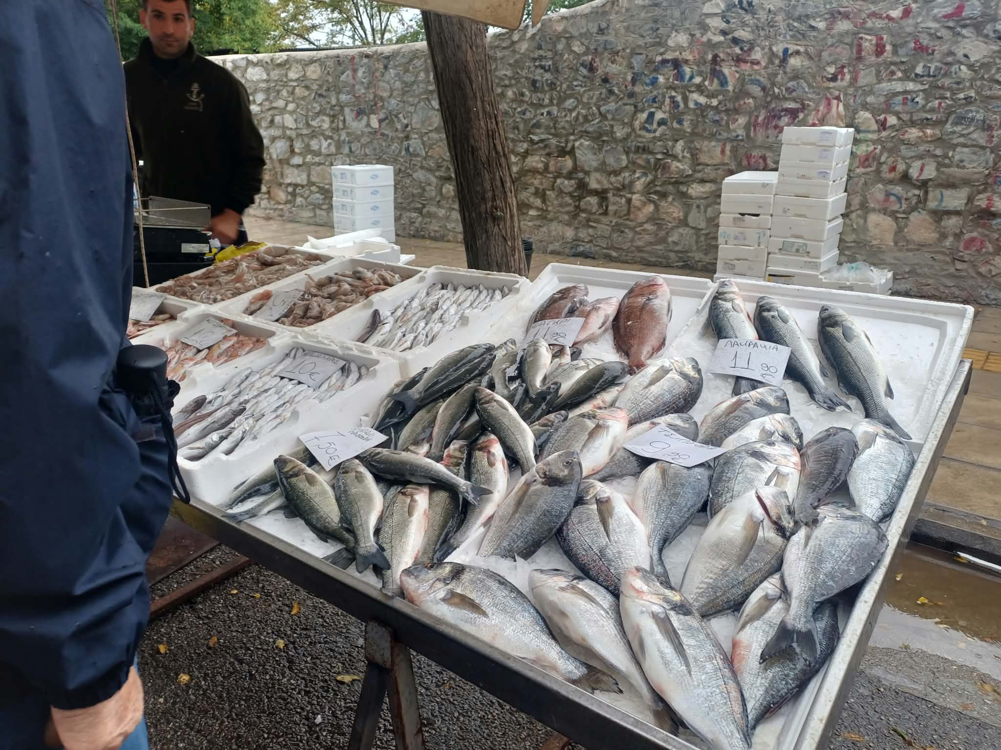 Στο πλευρό των αλιέων οι ιχθυοπώλες των λαϊκών αγορών Λάρισας (ΦΩΤΟ)