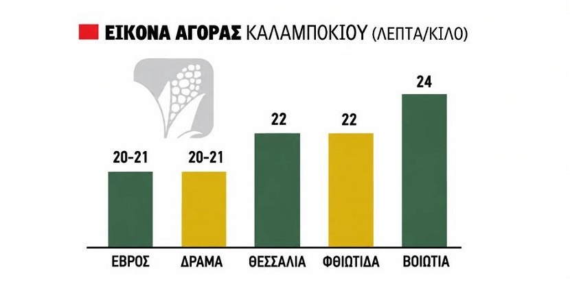 Έπιασαν 300 ευρώ ο τόνος τα ευρωπαϊκά συμβόλαια στο καλαμπόκι, μέχρι τα 24 λεπτά η τιμή στην ελληνική αγορά